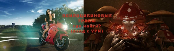 молекула духа Алексин