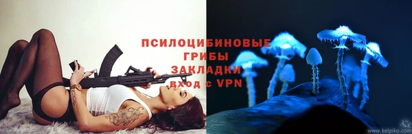 молекула духа Алексин