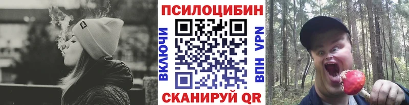 Псилоцибиновые грибы MAGIC MUSHROOMS  нарко площадка какой сайт  Углич 