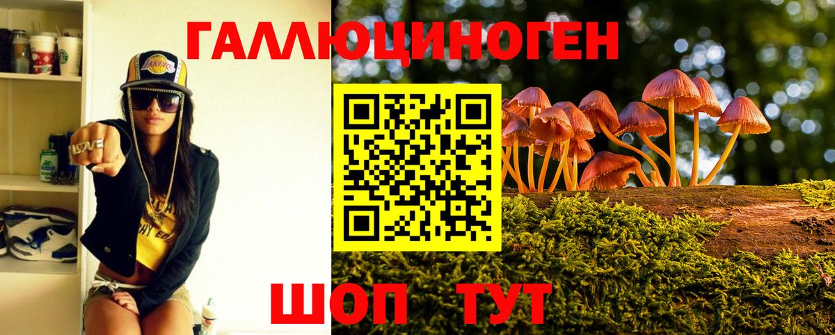Псилоцибиновые грибы MAGIC MUSHROOMS Углич