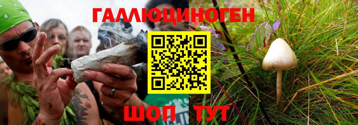 Галлюциногенные грибы Psilocybe  Галлюциногенные грибы GOLDEN TEACHER  Углич  Вход с VPN 
